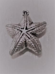 Acrylic Charm Star Fish 33m R45 +/ 17 pieces