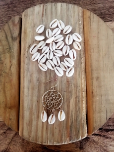 Cowrie Shell White Colour 10mm (sizes may vary) R50 (30 pieces)