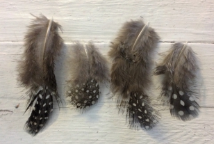 Guinea Fowl Feathers, vary in size  5-10cm, These are Lovely and Soft and are Perfect for Card making as well as Crafts