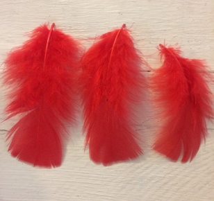 Feathers Red R35 +/ 20 Pieces, These are Lovely and Soft, Perfect for Crafts, Sizes Vary in pack 10-15cm
