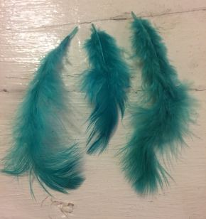 Feathers Teal Green R35 +/ 20-30 Pieces, These are Lovely and Soft, Perfect for Crafts, Sizes Vary in pack 10-15cm