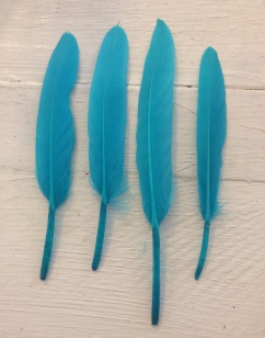 Feathers Turquoise Blue R35 20 Pieces, these are Lovely and Firm, Perfect for Crafts, Sizes 12-15cm