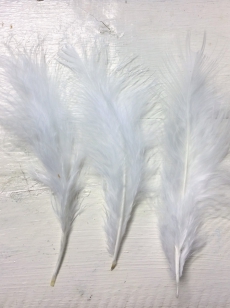 Feathers White R35 20 Pieces, these are Lovely and Soft, Perfect for Crafts, Sizes +/ 15cm